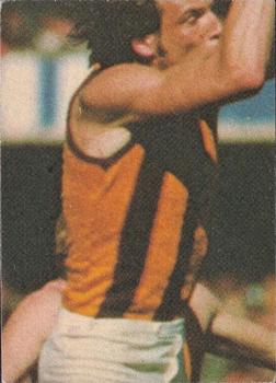 1977 Scanlens VFL #89 Graeme Landy Back